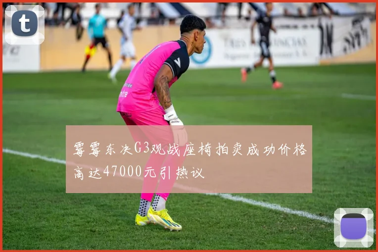 霉霉东决G3观战座椅拍卖成功价格高达47000元引热议
