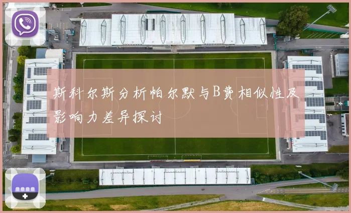 斯科尔斯分析帕尔默与B费相似性及影响力差异探讨